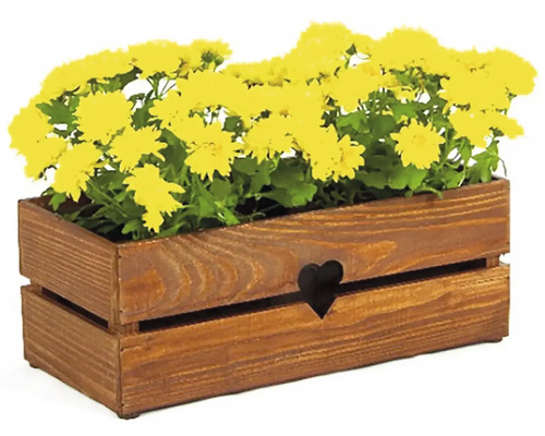 Holzblumenkasten mit Herz und gelben Chrysanthemen