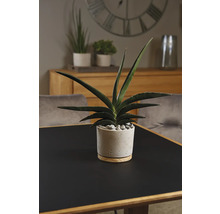 Blumentopf Soendgen Keramik Holz Ø 14 cm 14 x 14 x 13 cm grau