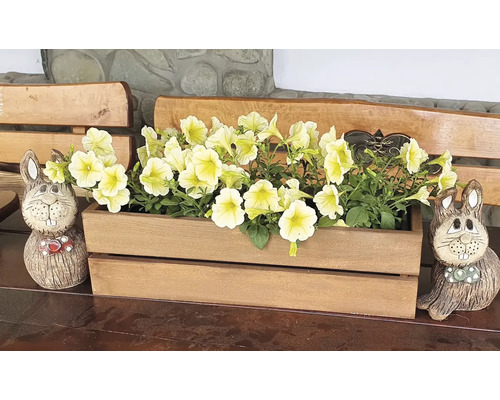 Dekorative Szene mit Blumenkasten, gefüllt mit gelben Petunien, flankiert von zwei Hasenfiguren