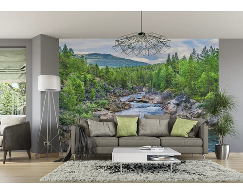 Wohnzimmer mit Fototapete eines Flusses in einer Waldlandschaft.