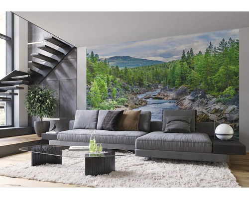 Wohnzimmer mit Fototapete eines Flusses in einer Waldlandschaft