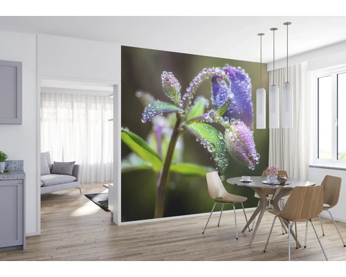 Wandbild mit Nahaufnahme einer blauen Blume mit Tautropfen in einem Esszimmer