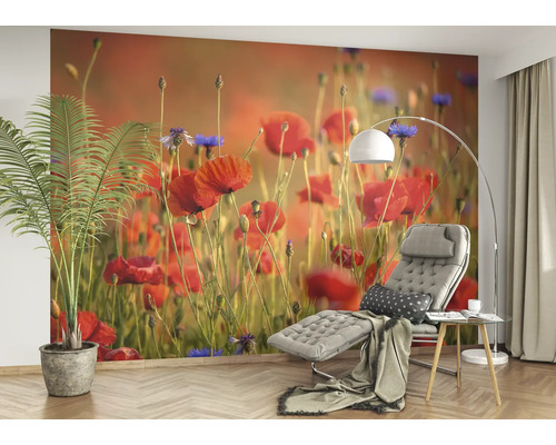 Wohnraum mit Mohnblumen Fototapete, Sessel und Stehlampe