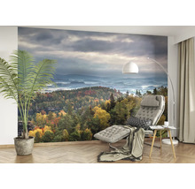 Wohnzimmer mit Fototapete eines Herbstwaldes unter bewölktem Himmel