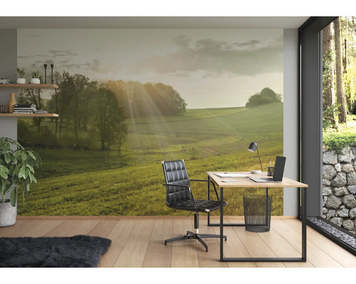 Büro mit Fototapete einer grünen Landschaft und Sonnenstrahlen