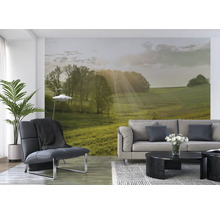 Wohnzimmer mit Vliestapete mit Landschaftsmotiv, Sessel, Sofa und Couchtisch