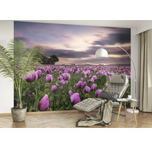 Wandbild mit Mohnfeld im Wohnraum