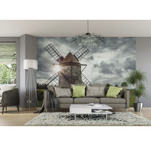 Wohnzimmer mit Fototapete einer Windmühle, Sofa und Zimmerpflanze