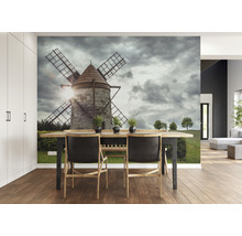 Wohnraum mit Fototapete, die eine Windmühle unter bewölktem Himmel zeigt
