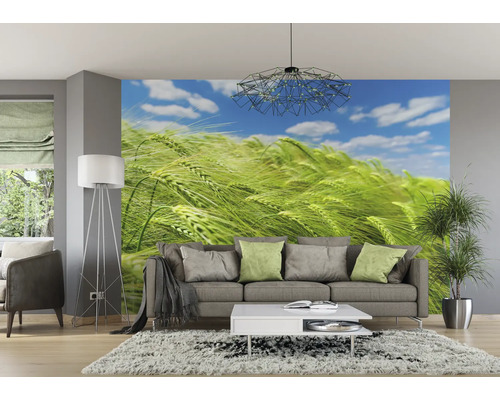 Wohnzimmer mit Fototapete eines Weizenfeldes unter blauem Himmel