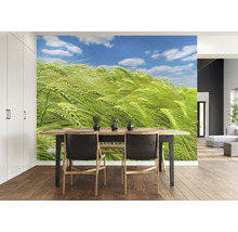 Wohnraum mit Esstisch, Stühlen und Fototapete mit Getreidefeldmotiv.