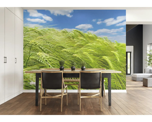 Wohnraum mit Esstisch, Stühlen und Fototapete mit Getreidefeldmotiv.