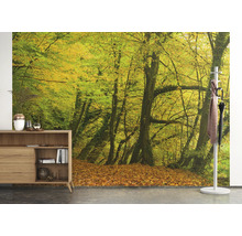 Wandgestaltung mit Waldmotiv, Möbeln und Garderobe im Innenraum