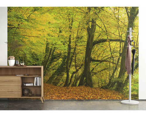 Wandgestaltung mit Waldmotiv, Möbeln und Garderobe im Innenraum