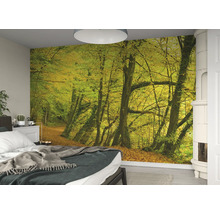Schlafzimmer mit Fototapete mit Waldmotiv