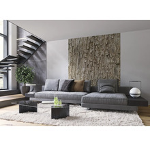 Modernes Wohnzimmer mit grauer Couch, Baumstamm-Tapete und Treppe