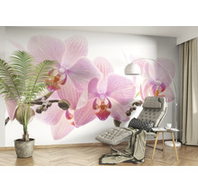 Wohnzimmer mit Orchideen-Fototapete, Sessel, Stehlampe und Topfpflanze