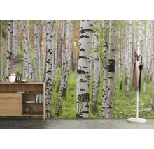 Szene mit Kommode und Birkenwald Tapete