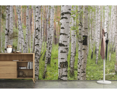 Szene mit Kommode und Birkenwald Tapete