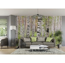 Wohnzimmer mit Birkenwald-Tapete, Sofa, Lampe und Teppich für ein naturnahes Ambiente