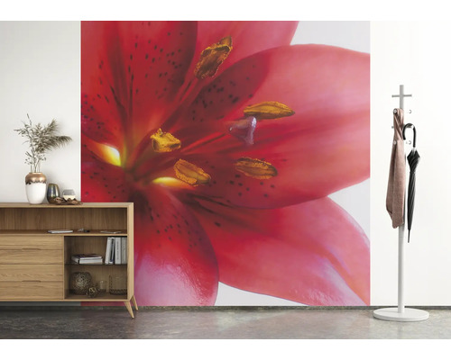 Wohnraum mit Kommode, Garderobe und einer Fototapete mit einer Lilie.