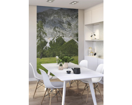 Heller Essbereich mit Esstisch, Stühlen und Bergfototapete
