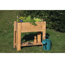Hochbeet aus Holz mit Pflanzen, Gießkanne und Gartengeräten auf einer Wiese