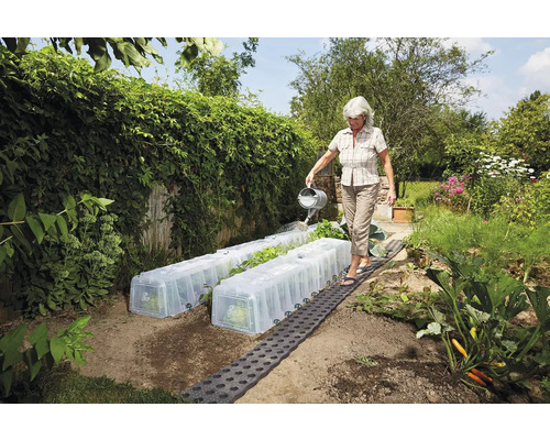 Gartenszene mit Gewächshäusern und einer Frau, die mit einer Gießkanne gießt