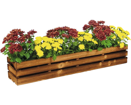 Blumenkasten aus Holz mit Chrysanthemen