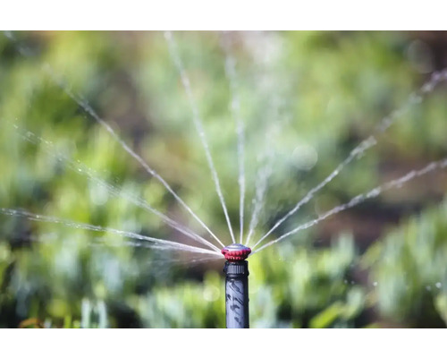 Rasensprenger bewässert Rasen