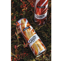 Zwei Dosen Maston Candy Effect Lack auf Waldboden