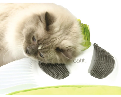 Katze benutzt Katzenspielzeug von Catit