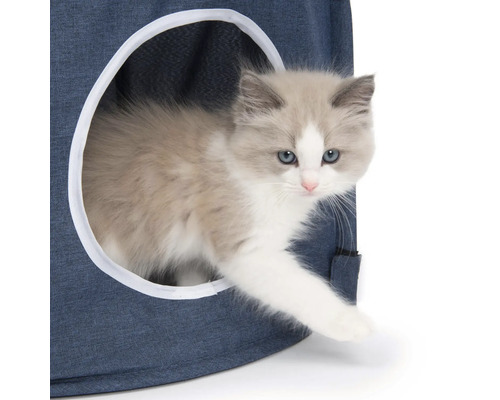 Katzenhaus mit Ragdoll-Kätzchen