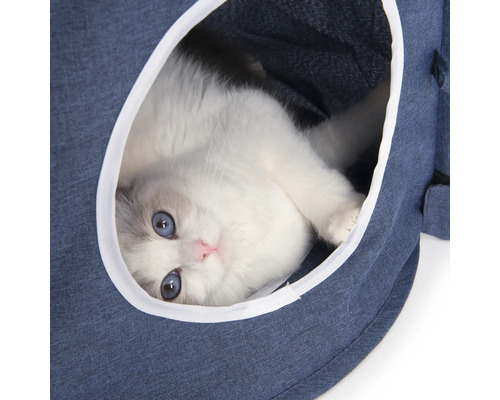 Katze in einer Katzenhöhle