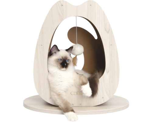 Katze in einem Katzenhaus mit Spielzeug