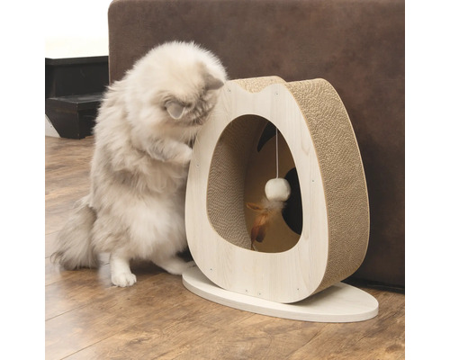 Katze spielt mit einem Kratzbaum mit Spielzeug