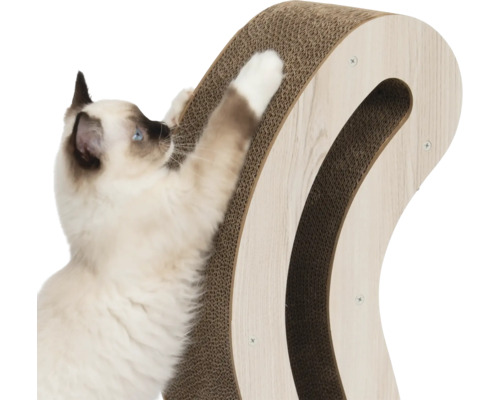 Katze kratzt an Kratzbaum aus Pappe mit Holzrahmen