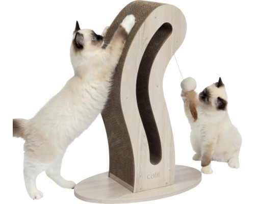 Katzen spielen an einem Kratzbaum mit Holzrahmen und Kratzfläche aus Karton
