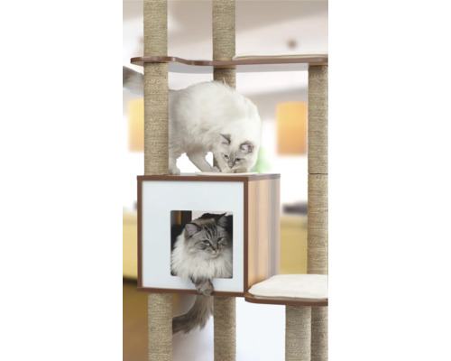Katzenkratzbaum mit Liegeflächen und Katzenhaus mit zwei Katzen