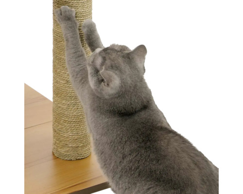 Katze kratzt an einem Kratzbaum aus Sisal