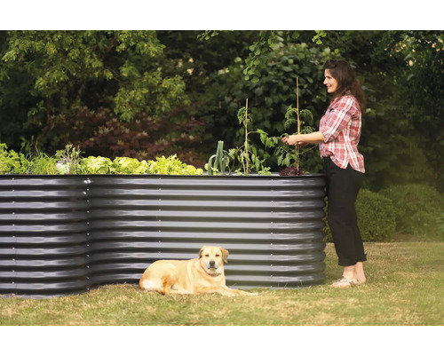 Hochbeet aus Metall mit Pflanzen, Frau und Hund im Garten.