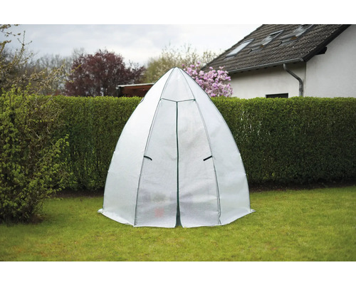 Garten mit Gewächshaus