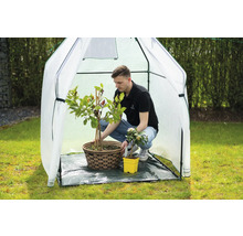Gewächshaus mit Mann und Pflanzen in Töpfen im Garten.