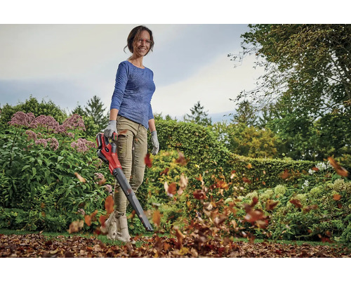 Frau benutzt einen Akku-Laubbläser im Garten zum Entfernen von Laub.