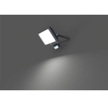 LUMAK PRO Sensor Wandstrahler IP44 50W 8250 lm 4000 K Zuleitung H05RN-F 0,5 m + Schnellverschluß-thumb-6 LUMAK PRO Sensor Wandstrahler IP44 50W 8250 lm 4000 K Zuleitung H05RN-F 0,5 m + Schnellverschluß-thumb-6