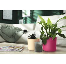 Blumentopf Kunststoff 14 x 14 x 12,7 cm pink