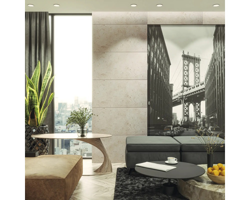 Modernes Wohnzimmer mit Fototapete einer Brücke, Tisch, Sofa und Zimmerpflanze