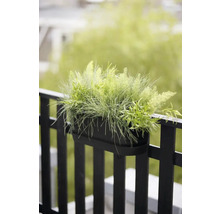 Ein schwarzer Balkonkasten mit Bepflanzung hängt an einem Geländer.