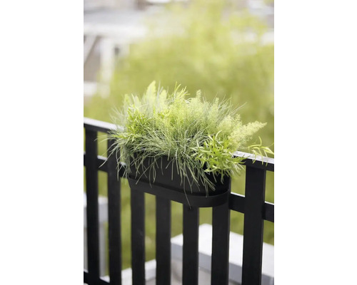 Ein schwarzer Balkonkasten mit Bepflanzung hängt an einem Geländer.