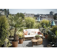 Blumentopf Pflanztopf Elho Greenville Kunststoff 39 x 39 x 36,8 cm braun